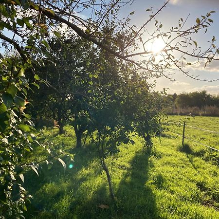 Une Maison, Un Jardin Berthenay Eksteriør billede
