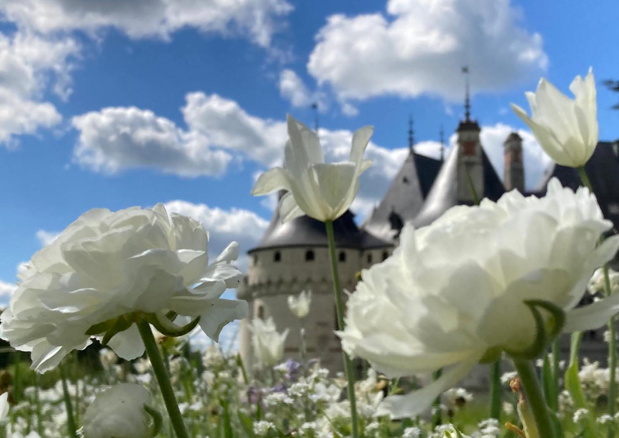 Une Maison, Un Jardin Berthenay Eksteriør billede