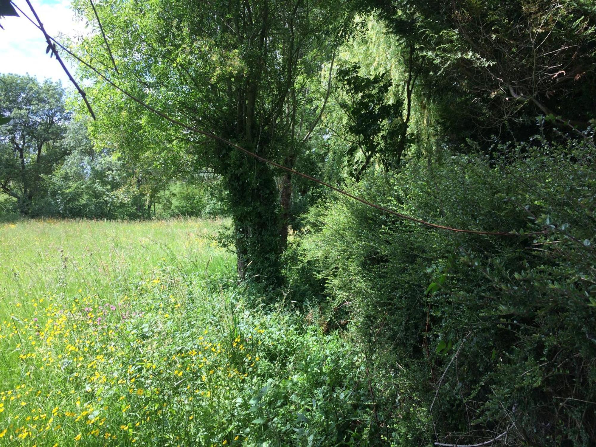 Une Maison, Un Jardin Berthenay Eksteriør billede